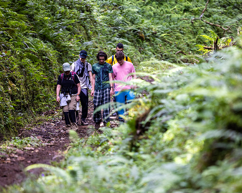 AEON School students walk on a lush trail in a Costa Rican rainforest.